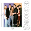 Friends Cast 1000 Piece Jigsaw Puzzle