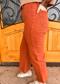 On The Regular Rust Pants