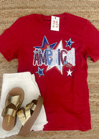 America Graphic Tee (S-2XL)
