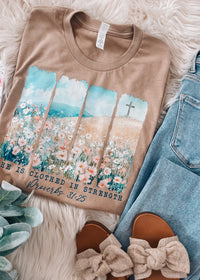 She Is Clothed In Strength Proverbs 31:25 Graphic Tee (S-2XL)