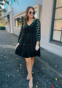 In the Details Velvet Dress