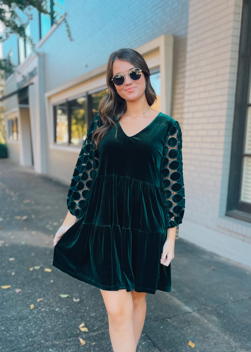 In the Details Velvet Dress