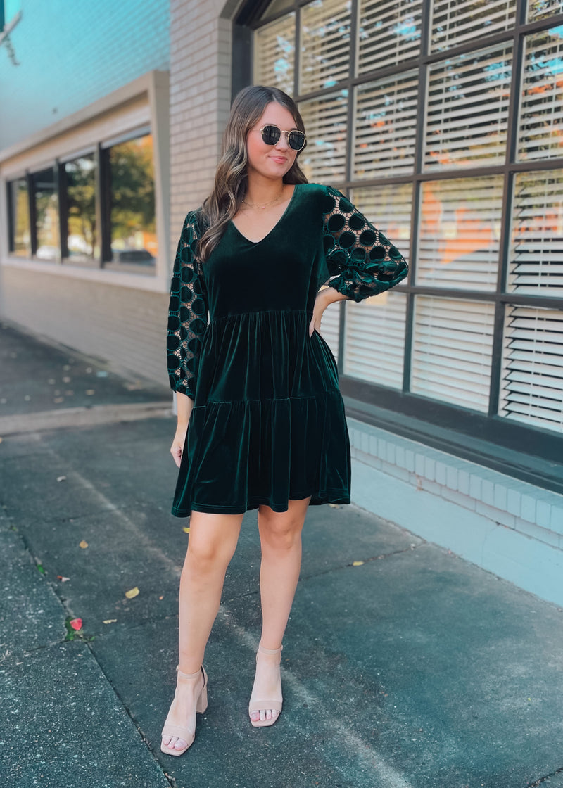 In the Details Velvet Dress